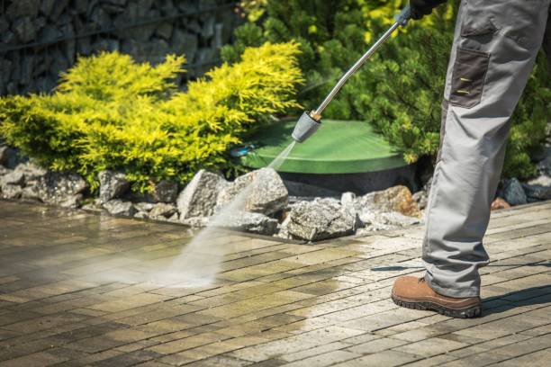 Best Playground Equipment Cleaning  in Piney Green, NC