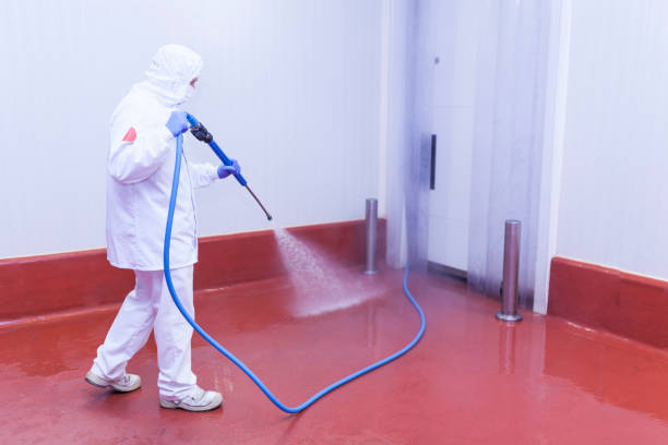 Best Heavy Equipment Washing  in Piney Green, NC